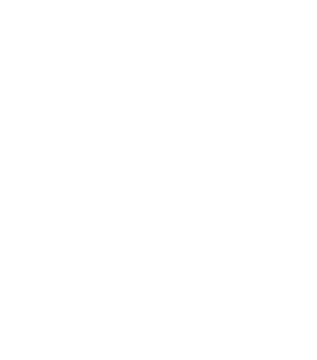 Primal logo