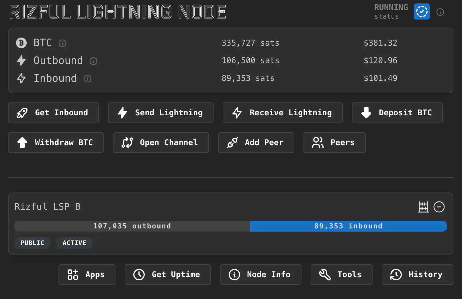 Rizful Node interface screenshot